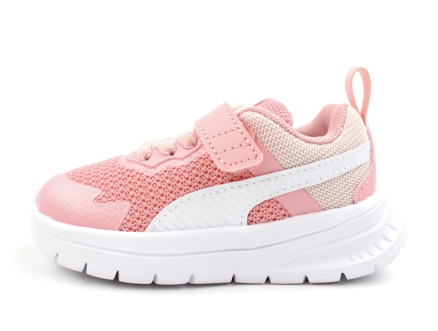 Best Puma Puma Peach Smoothie/Puma White Sneaker Evolve Run