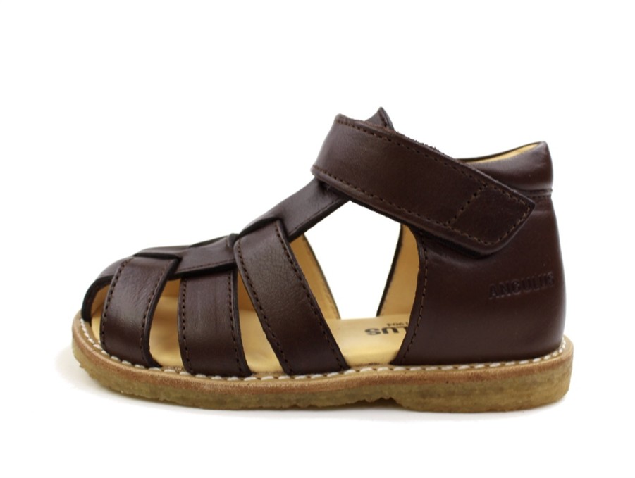 Wholesale Angulus Angulus Dark Brown Sandal