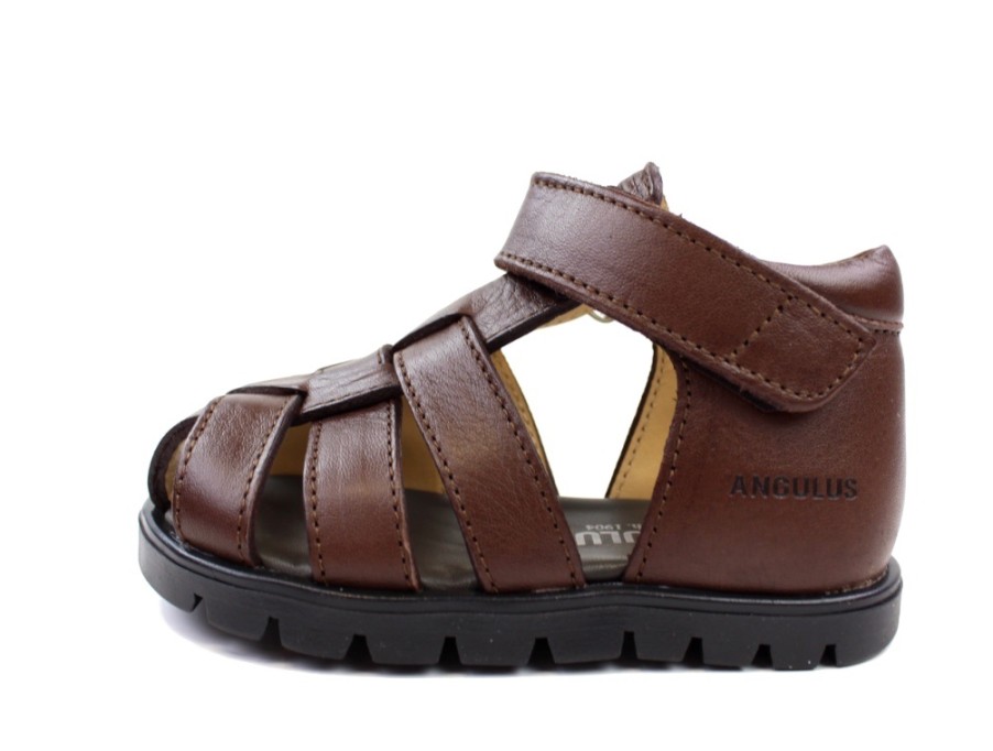 Hot Angulus Angulus Sandal Dark Brown