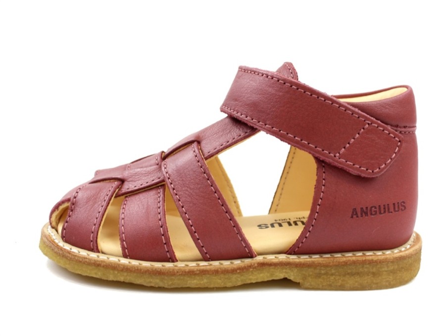 Online Angulus Angulus Sandal Old Rose