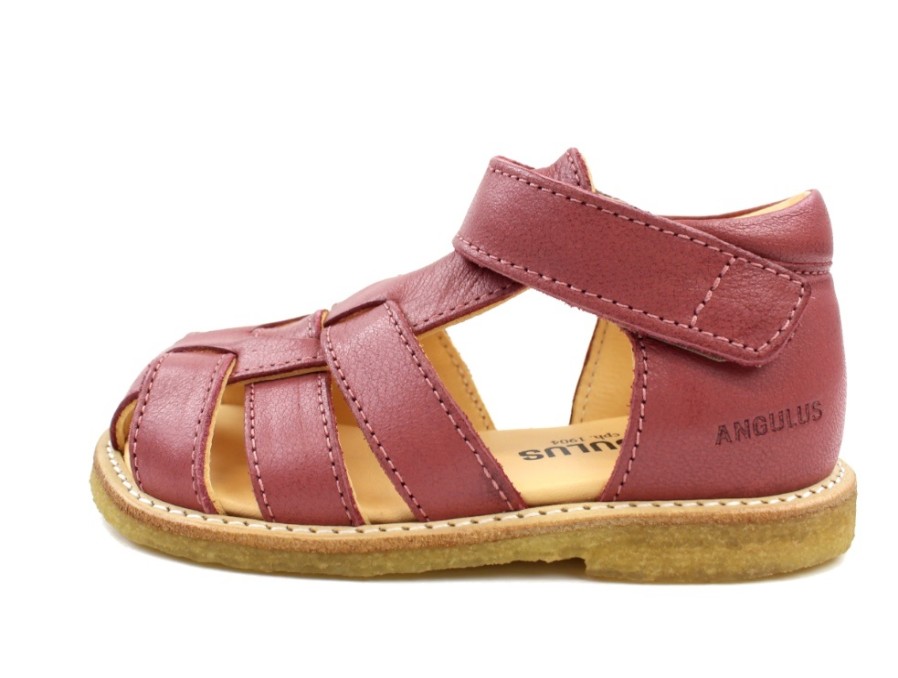 Online Angulus Angulus Sandal Old Rose