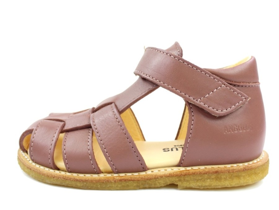 Online Angulus Angulus Sandal Plum