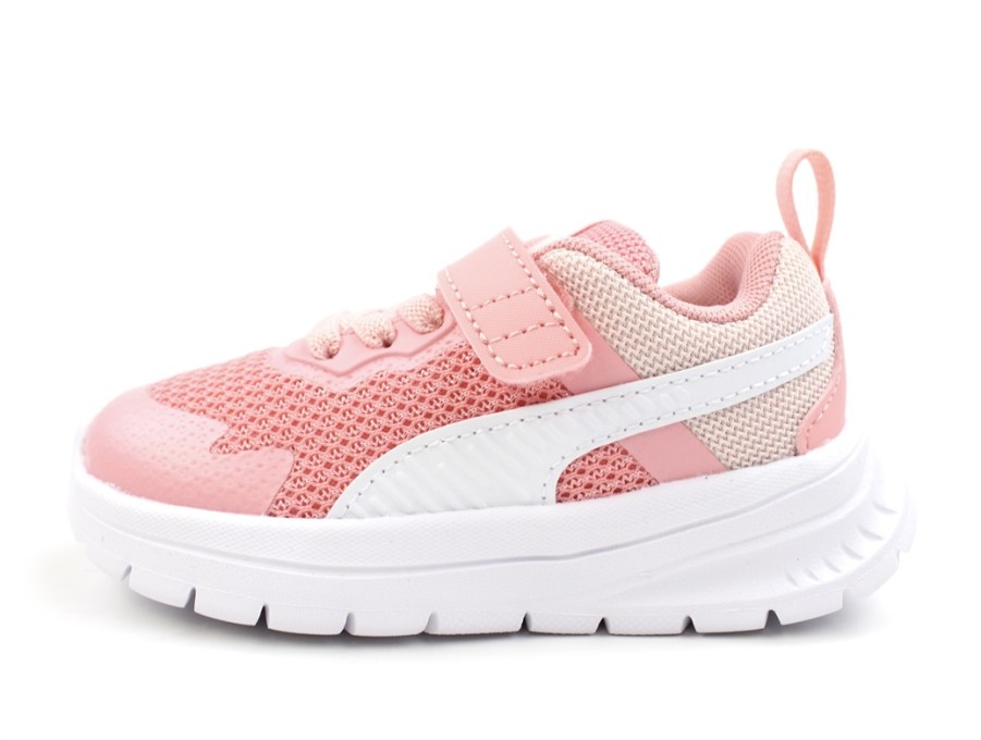 Hot Puma Puma Peach Smoothie/Puma White Sneaker Evolve Run